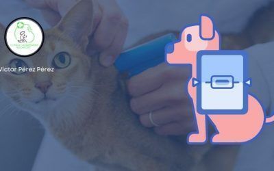 Microchip para mascotas