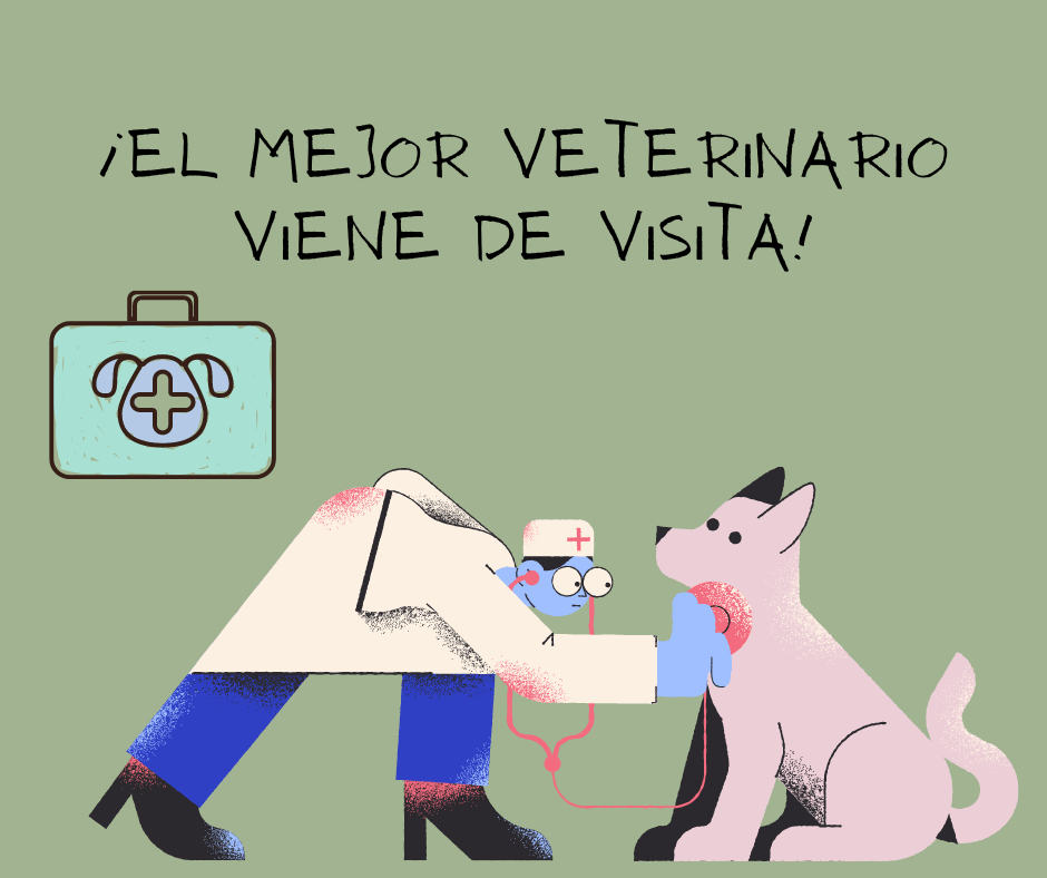 visitas a domicilio