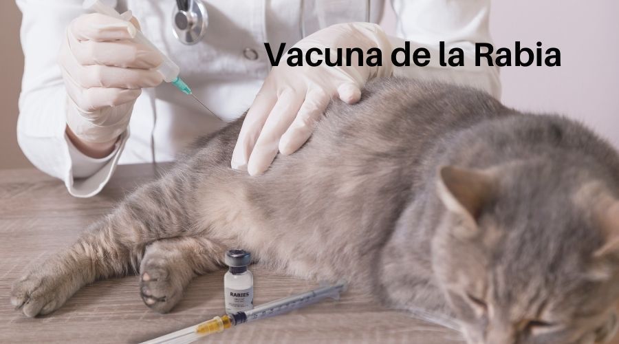 LA IMPORTANCIA DE TENER ACTUALIZADOS NUESTROS DATOS EN EL RIVIA.