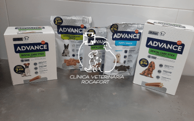 Alimentación mascotas