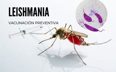 LEISHMANIOSIS