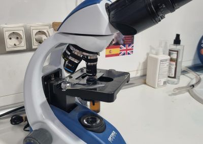 Microscopio