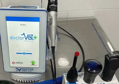 LASER TERAPÉUTICO